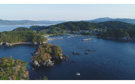 【毛ガニ 約300g×4匹】 陸前高田産 毛ガニ 生きたまま発送！ 【 かに カニ 魚介類 旬 鮮度抜群 産地直送 三陸産 】RT2659