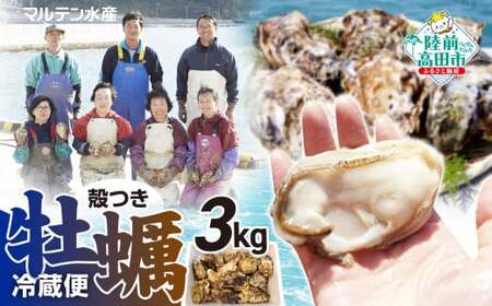訳あり 牡蠣 先行予約 殻付き牡蠣 約3kg 【 三陸産 旬 産地直送 】