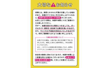 訳あり 牡蠣 先行予約 殻付き牡蠣 約3kg 【 三陸産 旬 産地直送 】