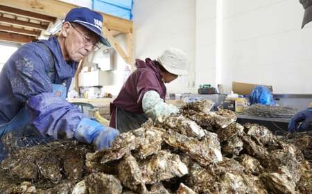 かき小屋広田湾の冷凍むき身牡蠣 500g×5袋 加熱調理用 【 かき カキ 海産物 魚介類 小分け 料理 カキフライ 鍋 】 RT2875