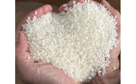 令和7年産 新米 たかたのゆめ 白米 5kg まーちゃんファーム 冷めてもおいしい お弁当 おにぎり