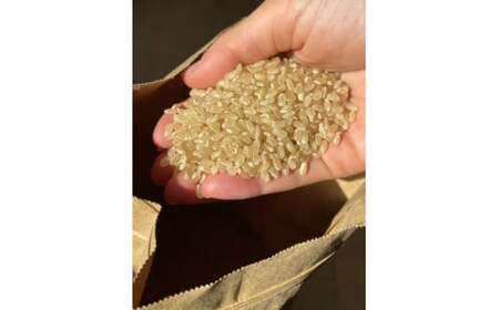 令和7年産 新米 たかたのゆめ 玄米 20kg まーちゃんファーム 冷めてもおいしい お弁当 おにぎり