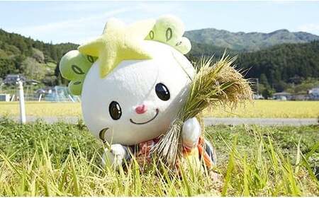 令和7年産 たかたのゆめ 玄米 30kg まーちゃんファーム 冷めてもおいしい お弁当 おにぎり