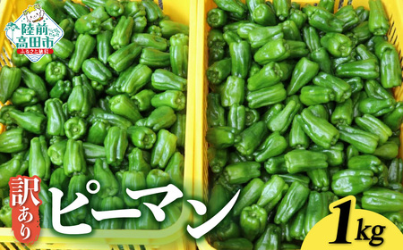 先行予約 訳ありピーマン 1kg 野菜 料理 ピーマン