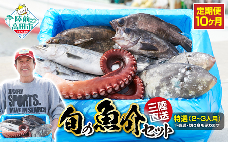 【10ヶ月定期便 / 下処理済】鮮魚セット 特選 三陸海の恵み詰め合わせ  (1回あたりのお届け目安：2～3人用) 【 鮮魚 海鮮 お刺身 魚介 魚介類 鮮魚BOX 詰め合わせ セット 三陸産 国産 天然 宴会 時短 便利 簡単 お手軽 岩手県 陸前高田市 産地直送 】 RT1186