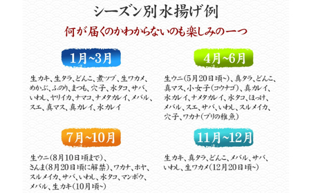 【隔月6回定期便 / 下処理済】鮮魚セット 特選 三陸海の恵み詰め合わせ  (1回あたりのお届け目安：2～3人用) 【 鮮魚 海鮮 お刺身 魚介 魚介類 鮮魚BOX 詰め合わせ セット 三陸産 国産 天然 宴会 時短 便利 簡単 お手軽 岩手県 陸前高田市 産地直送 】 RT2584
