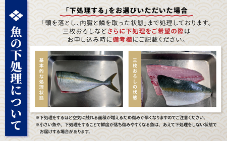 【隔月6回定期便 / 下処理済】鮮魚セット 特選 三陸海の恵み詰め合わせ  (1回あたりのお届け目安：2～3人用) 【 鮮魚 海鮮 お刺身 魚介 魚介類 鮮魚BOX 詰め合わせ セット 三陸産 国産 天然 宴会 時短 便利 簡単 お手軽 岩手県 陸前高田市 産地直送 】 RT2584