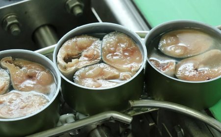 【6ヶ月定期便】 無添加 サバ缶詰 水煮 180g×8個セット×6ヶ月お届け 備蓄 防災