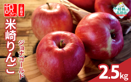先行予約 りんご 2.5kg 【品種：ジョナゴールド】 果物 フルーツ 訳あり 家庭用 米崎りんご