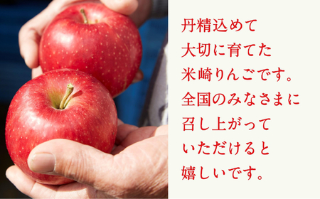 先行予約 りんご 2.5kg 【品種：ジョナゴールド】 果物 フルーツ 訳あり 家庭用 米崎りんご