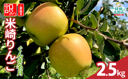 先行予約 りんご 2.5kg 【品種：ぐんま名月】 果物 フルーツ 訳あり 家庭用 米崎りんご 6,930円