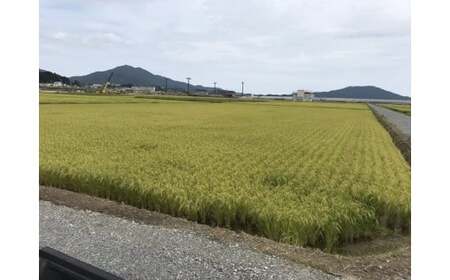 玄米 令和7年産 新米 銀河のしずく10kg 海の見える農園で作った玄米 岩手県 オリジナル品種