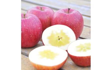 【100箱限定】 先行予約 米崎りんご サンふじ入り2品種以上食べ比べBOX 3kg りんご