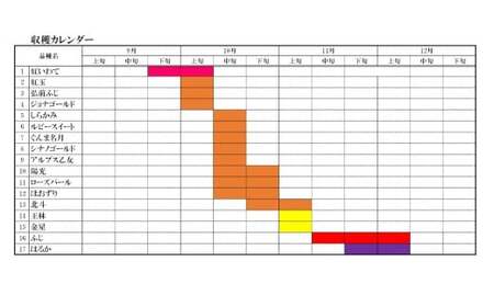 【100箱限定】 先行予約 米崎りんご サンふじ入り2品種以上食べ比べBOX 5kg りんご