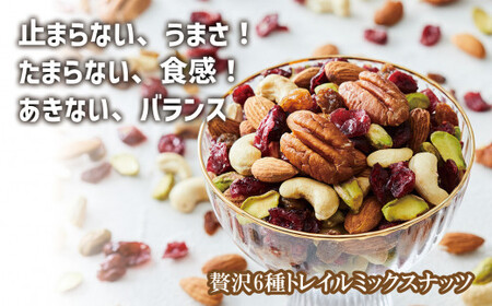 ミックスナッツ 特別セット [健やか・贅沢]トレイルミックスナッツ 20袋 個包装