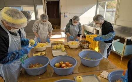 手づくり スティックりんご 40g×2袋 乾燥りんご お菓子 おやつ 作業所きらり