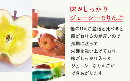先行予約 【サンふじ使用】 果汁100％りんごジュース 1L×3本 りんごジュース