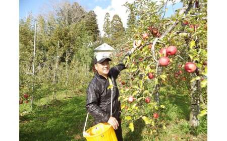 【事業者支援】 りんご 訳あり ふじ 約5kg(23玉) 米崎りんご