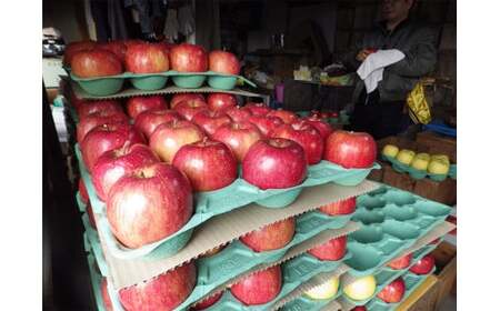 【事業者支援】 りんご 訳あり ふじ 約5kg(23玉) 米崎りんご