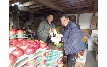 【事業者支援】 りんご 訳あり ふじ 約5kg(23玉) 米崎りんご