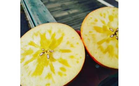 【訳あり品】 勝ち残った涙のサンふじ 5kg 【 りんご サンふじ 旬 産地直送 岩手 陸前高田 】 RT2689