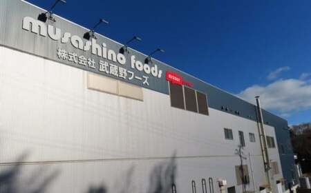 スライス済イカ刺身 120g×5個 小分け 冷凍 イカ