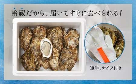 牡蠣 殻付き牡蠣 8個 【 三陸産 旬 産地直送 おためし 】