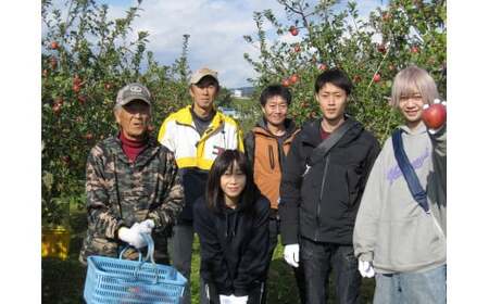 【事業者支援】 訳あり 米崎りんご 「ふじ」 約5kg 16玉前後 清水農園 りんご