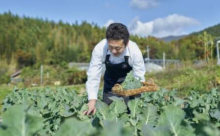 【パッケージ入替のため特別寄附額】 グルテンフリー米粉スナック 『 ポリフリー 』 6種セット 訳あり