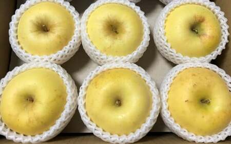 【先行予約】りんご 3kg 品種おまかせ 熊谷農園 果物 3キロ 米崎りんご