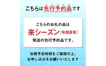 生うに 2026年発送先行予約 無添加 生うに 500g 塩水パック