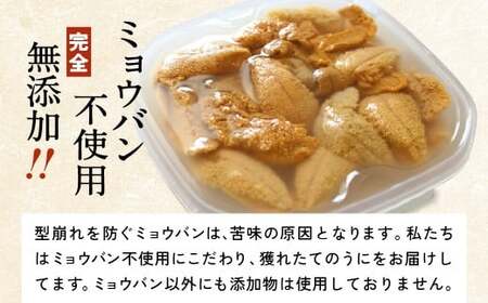 生うに 2026年発送先行予約 無添加 生うに 500g 塩水パック