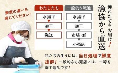 生うに 2026年発送先行予約 無添加 生うに 500g 塩水パック