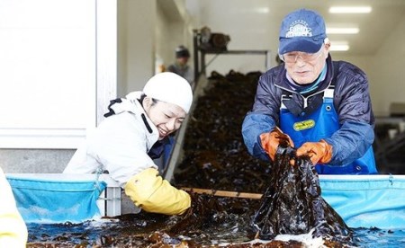 広田湾漁協からお届け！色んな部位の食べ比べ海藻セット