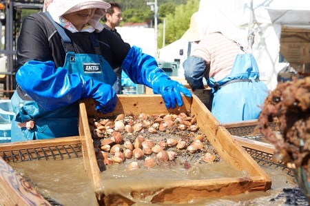 【先行予約】高級広田湾イシカゲ貝 約1kg (15～18個) ※期日指定不可※【 いしかげ貝 海産物 幻の貝 高級 刺身 岩手 陸前高田 】2025年6月頃～発送予定RT2472-2025