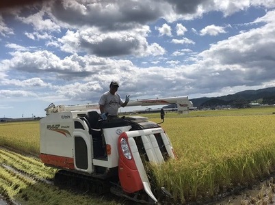 令和6年度産 新米 ひとめぼれ 白米 10kg 海の見える農園で作ったお米 RT542-R6