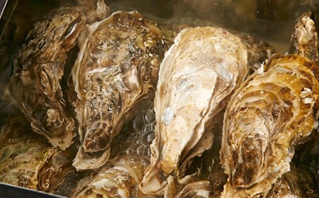 牡蠣のガンガン焼きとむき身セット【11月後半~4月後半発送】