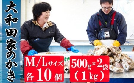 大和田家の殻付き(M/L各10個)&むき身牡蠣(1kg)セット
