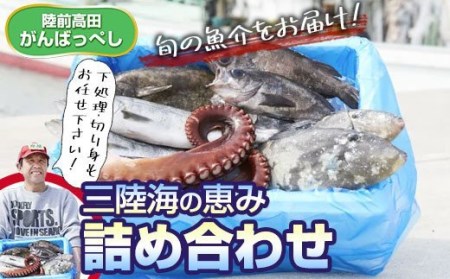 三陸海の恵み詰め合わせ【下処理可】(1～2人用) 鮮魚 海鮮 刺身 
