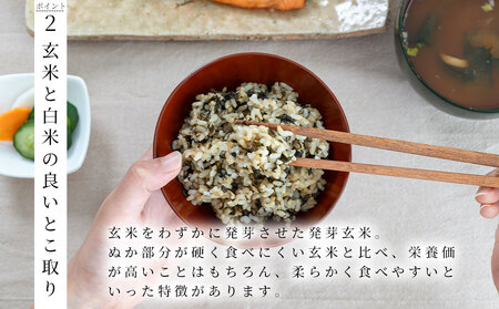 fn-44-021 腸がよろこぶ わかめ玄米ごはん 60パック入り かまいしDMC