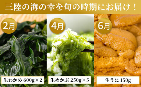 fn-39-031 旬の逸品6ヶ月定期便 ヤマキイチ商店