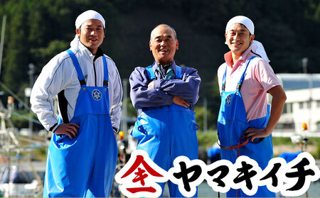 fn-39-031 旬の逸品6ヶ月定期便 ヤマキイチ商店