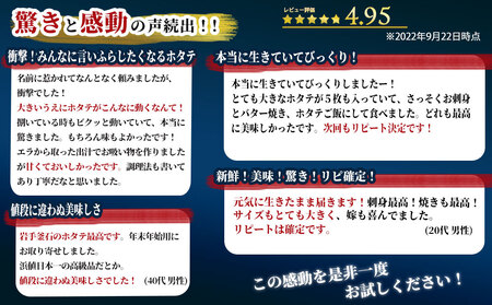 fn-39-025 泳ぐホタテ 特大15枚 ヤマキイチ商店 刺身 海鮮 貝