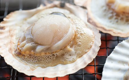 fn-39-026 泳ぐホタテ 特大20枚 ヤマキイチ商店 刺身 海鮮 貝