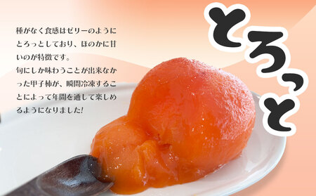 fn-71-001 ゆういち農園の甲子柿 6個入り