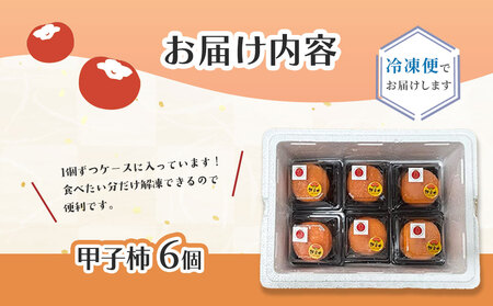 fn-71-001 ゆういち農園の甲子柿 6個入り