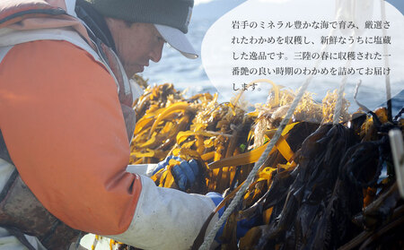 fn-72-004 三陸釜石・漁師直送 湯通し塩蔵わかめ(100g×20袋) 両石港 隆丸