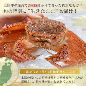 fn-40-015【出荷前にお電話します!】 活毛ガニ 3杯 (430g~530g×3) 三陸産【令和8年2月上旬~4月頃お届け】 ヤマコー片桐鮮魚店