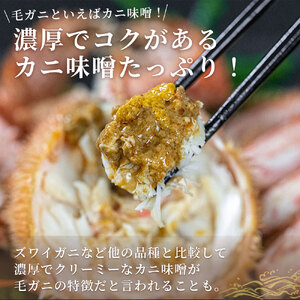 fn-40-015【出荷前にお電話します!】 活毛ガニ 3杯 (430g~530g×3) 三陸産【令和8年2月上旬~4月頃お届け】 ヤマコー片桐鮮魚店