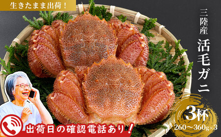 fn-40-016【出荷前にお電話します！】 活毛ガニ 3杯 （260g～360g×3） 三陸産【令和8年2月上旬～4月頃お届け】ヤマコー片桐鮮魚店
